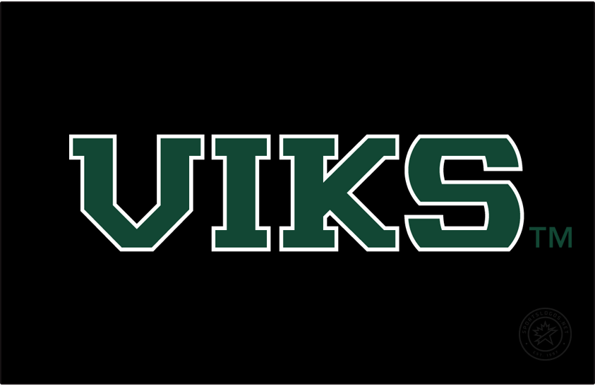 Portland State Vikings 2016-Pres Wordmark Logo v5 diy iron on heat transfer
